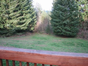 View from Master Bedroom Deck.